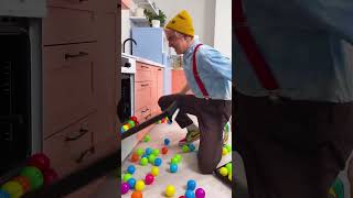 Colorful Ball Pit Fun 🎾 funny ball colorful [upl. by Cecilia]