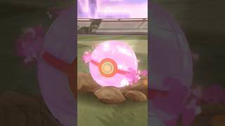 Catching Gmax pokemon in Pokémon Go gmaxpokémon gaming pokémon pokémongo [upl. by Anaitsirc]