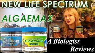 New Life Spectrum AlgaeMax A fish biologist reviews aquarium diets Newlifespectrum [upl. by Magen336]