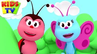 The Flight Of The Butterfly  Song For Children  Music For Babies  Kids Tv [upl. by Jorie]