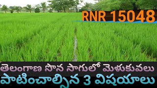 తెలంగాణ సొన సాగు ముఖ్య అంశాలు  Telangana Sona RNR 15048 paddy cultivation techniques [upl. by Nosreh]