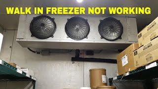 WALK IN FREEZER NOT WORKING [upl. by Biddle]