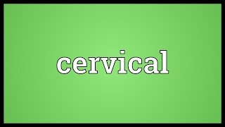 Cervical Meaning [upl. by Aziaf]