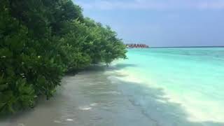 Furaveri Maldives beach and Beach Villa [upl. by Eille]