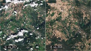 Satellitenbilder zeigen Dürre rund um Berlin im Vergleich 20172018 [upl. by Elleniad]