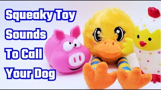 Your Dog Will Come To You With These Squeaky Toy Sounds [upl. by Neerak]