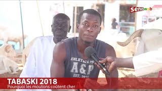 TABASKI 2018 Pourquoi les moutons coûtent cher [upl. by Huebner127]