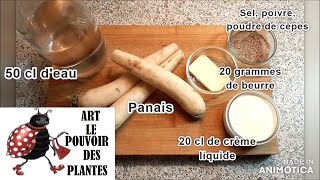 Cuisine Recette facile et rapide crème de panais [upl. by Renraw841]