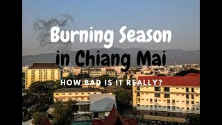 Burning Season in Chiang Mai  When Is it How Bad is it Really [upl. by Annaili89]