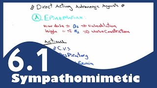 PharmaNotes Sympathomimetic Part I [upl. by Jariv]