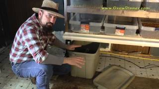 DIY Fodder System Cheap Livestock Winter Food [upl. by Mcknight]