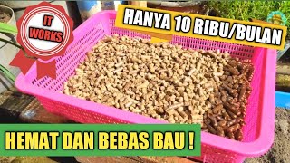 TIPS CARA AGAR TEMPAT KOTORAN KUCING TIDAK BAU  Hanya modal 10 Ribu perbulan saja [upl. by Harbird753]