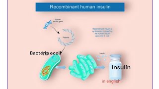 Recombinant InsulinBiotechnologyClass12NEETquick revision EasyBioshots [upl. by Eseila]