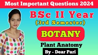 BSc II Year 3rd Semester Botany Paper  2 Important Questions 2024  Plant Anatomy DearPari [upl. by Nerval]