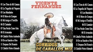 VICENTE FERNANDEZ CORRIDOS DE CABALLOS MIX  VICENTE FERNÁNDEZ LAS MEJORES CANCIONES RANCHERAS [upl. by Lemmor]