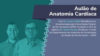 Aulão de Anatomia Cardíaca [upl. by Orodoet510]