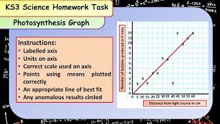 GCSE Biology Photosynthesis Practical Graph Homework Activity [upl. by Eintruok]