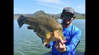 Freshwater Fishing Championship Australia Angler Talk Ep 1 YellowbellyMurray Cod Tournament Fishing [upl. by Lasyrc]