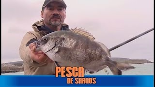 Pesca de Sargos comGonzalo Parafita2016 ESPANHA HD [upl. by Rexfourd]