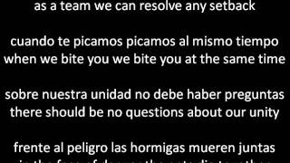 Calle 13 Hormiguero Anthill LyricsLetra ENGLISH AND SPANISH [upl. by Araik]