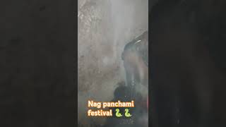 nag panchami festival 🐍🐍 trending solanki shortvideos viralvideos nag panchami [upl. by Kamila]