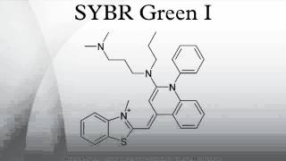 SYBR Green I [upl. by Yllier842]