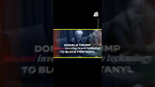 New Kamala Harris Ad Takes Down Trumps Immigration Policies [upl. by Niklaus]