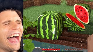 Paluten REAGIERT auf REALISTISCHE MELONEN Minecraft Memes [upl. by Roseline137]