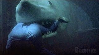 Jaws 3D Full Ending 🌀 4K [upl. by Sera]