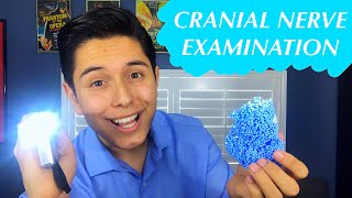 ASMR Funny Cranial Nerve Examination Dumb Doctor Role Play [upl. by Ellevart779]