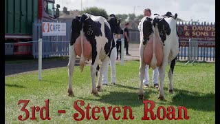 Holstein PairsDumfries Show 2024Next video Baileys Champion cow [upl. by Ajile]