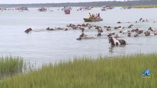 99th annual Pony Swim on Chincoteague draws thousands [upl. by Eirod83]