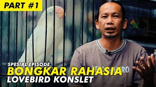 Sekolah Burung 10 Asal Muasal Terciptanya Lovebird Konslet  Part 1 [upl. by Irene39]