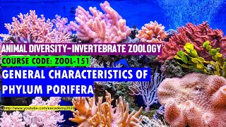 Phylum Porifera General Characteristics [upl. by Lenora]