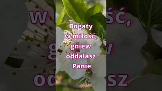 Bogaty w miłość [upl. by Neddra]