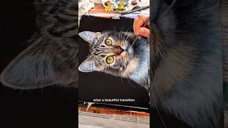 Realistic cat painting [upl. by Bate]