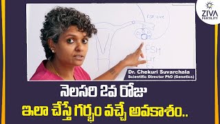 నెలసరి 2వ రోజు ఇలా చేస్తే  How To Get Pregnant Fast in Telugu  Dr C Suvarchala  Ziva Fertility [upl. by Lura]