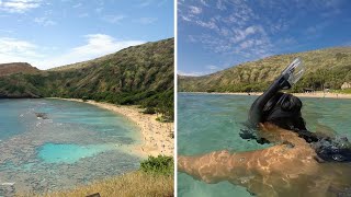 Snorkeling Hanauma Bay Hawaii  Amazing Experience [upl. by Shaine]