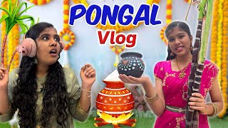 😍ENGA VEETU பொங்கல் CELEBRATION🌾🔥 Family Pongal Vlog😜  Ammu Times [upl. by Suzzy]