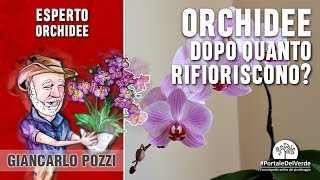 Dopo quanto tempo rifiorisce lorchidea Risponde Giancarlo Pozzi [upl. by Acirahs]