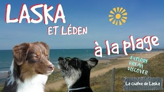 Laska et Léden à la plage  82 [upl. by Tuddor]