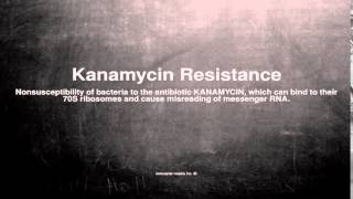 Medical vocabulary What does Kanamycin Resistance mean [upl. by Gusba870]