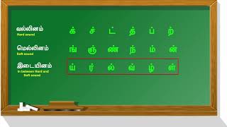 Vallinam Mellinam Idaiyinam MeiEzhuthukkalமெய் எழுத்துக்கள்வல்லினம் மெல்லினம் இடையினம் [upl. by Ahsoik]