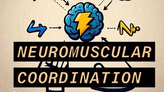 Neuromuscular Coordination Neuromuscular coordination in Exercise Therapy [upl. by Rosaleen731]