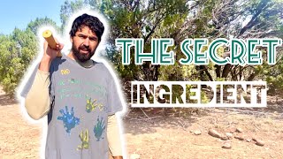 The SECRET to FERTILE SOIL  On Our Arizona High Desert HOMESTEAD [upl. by Htebi]