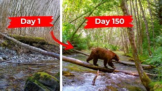 150 Days And My Trail Camera Caught All That [upl. by Enavi]