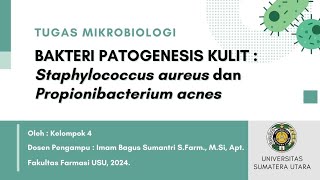 Kelompok 4  Bakteri Patogenesis Kulit  Staphylococcus aureus dan Propionibacterium acne🦠👩🏻‍🔬 [upl. by Sanoj]