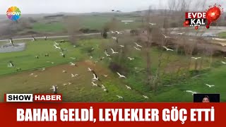 Bahar geldi leylekler göç etti [upl. by Eri]