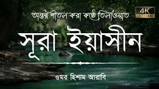 সূরাইয়াসিনSuraYaseenRecitedbyIsmailAnNouriআননাফী [upl. by Esihcoc]