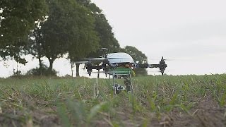 Technologie  des drones au service des agriculteurs  hitech [upl. by Adoc]